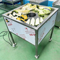 Fruit- en groentesnijmachine, citroen- en ananassplitsmachine, tomaat- en sinaasappel-scheidingsmachine met transportband