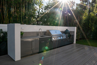 Armoire modulaire BAINENG peinte par pulvérisation micro-électrostatique pour cuisines et meubles de cuisine, idéale pour les barbecues extérieurs