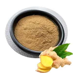 China Manufacturer Directly Supply Ginger Dry Powder Ginger Powder