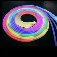 Bande lumineuse LED néon flexible tressée RGBIC adressable à 360 degrés, étanche IP67, avec CRI 90 élevé et fonction dimmable