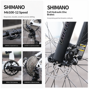 OVERLORD Carbon Fiber <b>Frame</b> 12-Speed Soft-tail <b>Mountain</b> <b>Bike</b> Thru-Axle Dual Disc Brakes Front-Rear XC Cross-Country 27.5/29 - Product Image 5