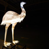 Zigong Spezialfabrik in China für die Herstellung von Outdoor-Tierfiguren-Laternen, Landschaftsbeleuchtung und Festivallaternen für Spielplätze