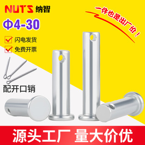 Potentes Pasadores Cilíndricos Kung Fu GB882 M4 M5 M6 M8 M10 M12 con Orificio, Acero al Carbono Zincado - Product Image 5