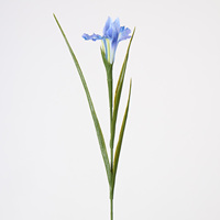 Fabricant de fleurs d'iris, vente en gros de fleurs d'iris artificielles de haute qualité, échantillon gratuit, décoration de mariage, aménagement paysager, jardin, iris