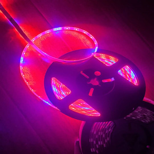 Tira de Luz LED Flexible de Alto PAR 5050 SMD IP67 con Control Remoto <span class=keywords><strong>WiFi</strong></span> para Plantas de Jardín, Hierbas, Lechuga y Vegetales Pequeños - Product Image 4