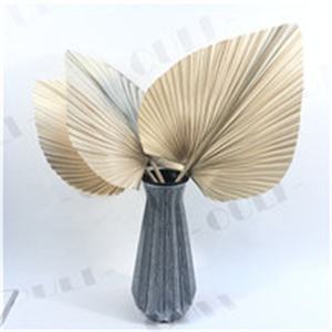 Q-1063 Naturel Séchées Feuilles De <span class=keywords><strong>Palmier</strong></span> Ventilateur Fleur pour La Maison Décoration - Product Image 5