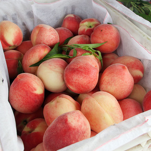 Pêches fraîches de haute qualité Option de fruits sains sucrés et délicieux Pêche au miel - Product Image 2