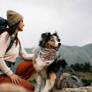 Bol à eau portable pour animaux de compagnie, bol d'alimentation en silicone pour chien, bol pour animaux de compagnie pour les voyages en plein air, la marche et la randonnée - Product Image 2