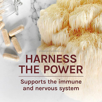 Capsules d'extrait de champignon de marque privée Capsule de complexe de champignon capsules de supplément de champignon reishi lions crinière