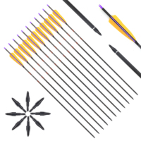 ID 6.2mm 32in Carbon Arrow Sp 250 300 400 500 600 700 800 5in Real Feather 100gn Heads New Insert Nock Tir à l'arc Chasse