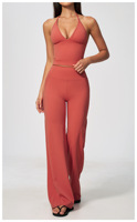 Set Yoga Wanita 2 Potong, Atasan Halter V-neck Dalam, Celana Panjang Pinggang Tinggi, Cepat Kering, Bernapas, Olahraga Gym Fitness