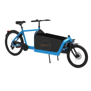 2024 Open Body Type Adult Two Wheels Cargo Bike 2021 New Design Tricycle For Carry Children and Carry Goods