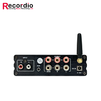 GAP-3116T Mini Yüksek Güçlü Metal HiFi Amplifikatör TPA3116 Çift Çekirdekli 50+50+100W 3 Kanallı Ev Ses Amplifikatörü