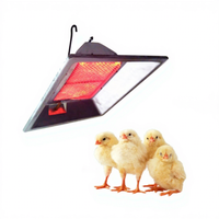 Système de chauffage pour poulailler à allumage manuel, chauffage au gaz pour poussins et poules, chauffage pour poussins de poule.