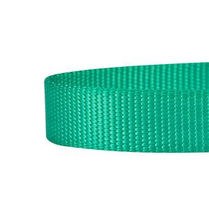 Vente en gros d'accessoires pour animaux de compagnie laisse de chien multicolore <span class=keywords><strong>Petshop</strong></span> adapté aux chiens de taille moyenne pesant - Product Image 4