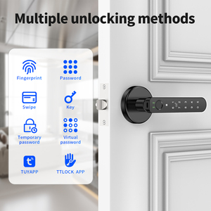 กุญแจล็อคอัจฉริยะแบบสแกนลายนิ้วมือ Tuya TTLock App สำหรับแป้นกดรหัส  วัสดุโลหะผสมสังกะสี  รองรับการ์ดห<span class=keywords><strong>น</strong></span>่วยความจำ  กระจก  สำหรับบ้าน สำ<span class=keywords><strong>น</strong></span>ักงา<span class=keywords><strong>น</strong></span>  ระบบรักษาความปลอดภัย  รองรับ OEM  ปรับแต่งได้ - Product Image 2