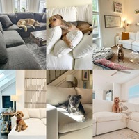 Canapé modulaire en forme de L, confortable et écologique, compatible avec les animaux domestiques, idéal pour la villa, canapé de salon pour la maison