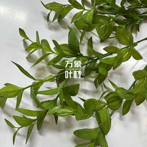 Planta de hojas verdes artificiales para decoración de bodas, hoteles y exteriores, material PP, flores en jarrón, color verde YT210 - Product Image 2