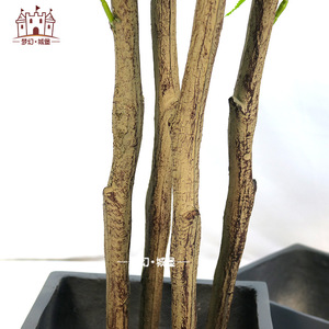 Arbre d'érable artificiel Dream Castle, 100-200 cm, plante décorative d'intérieur sur pied, style minimaliste - Product Image 3