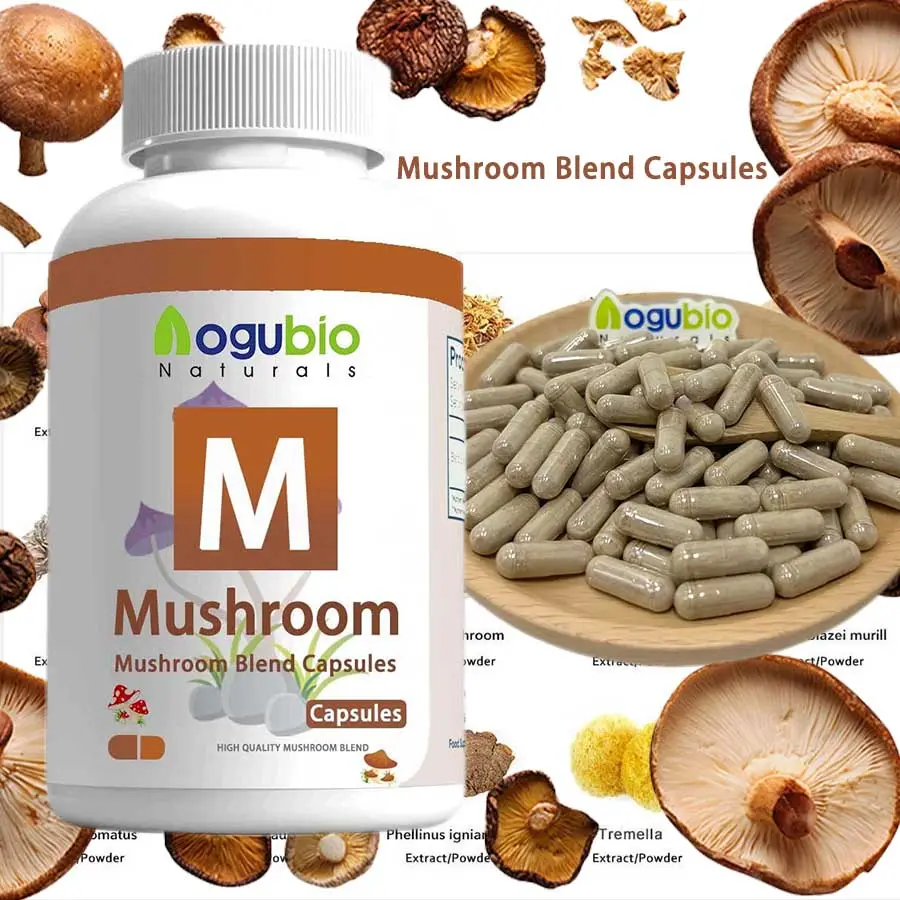 Aogubio Chaga Mushroom Extract Poeder Oem Custom Label Chaga Champignon Extract Capsule En Chaga Capsule