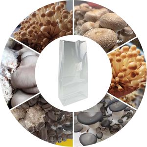 Gusseted Flat Bottom CPP <b>Bags</b> with Paper Insert High Clarity Heat Seal <b>Bags</b> Gravure Printing Sugar Use - Product Image 4