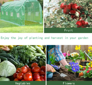 الدفيئات الزراعية الثقيلة رخيصة المصنع مباشرة متعددة الأحجام الفناء الخلفي طقم الدفيئة للبيع - Product Image 5