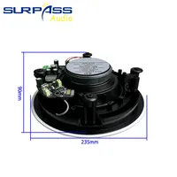 BTF41 65 pouces 40W pour haut-parleurs de plafond, de mur et de toit V5.1, amplificateur de classe D intégré, système audio bidirectionnel pour cinéma maison