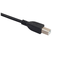 Câble USB 2.0 de 1,5 m noir/gris AM vers BM pour la transmission de signal vers imprimantes, scanners, écouteurs
