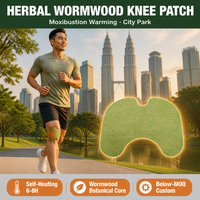 Meilleur Choix Patch Herbal pour Genou à l'Armoise, Autocollant Chauffant de Moxibustion, OEM, Faible MOQ, Respirant, Naturel, Soulagement de la Douleur pour Femmes, Hommes et Adultes