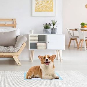 Tapis d'entraînement à la propreté pour chiots, absorbants, en herbe, pour usage intérieur, pour chiens - Product Image 4