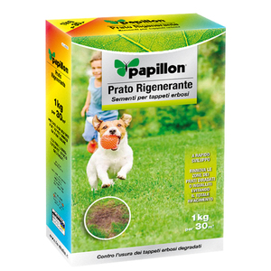 Graines de gazon pour réensemencement 1 Kg. - Product Image 1