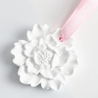 Diffuseur d'huiles essentielles en plâtre parfumé, fait main, en porcelaine et céramique, en forme de fleur, pour armoire, voiture et maison