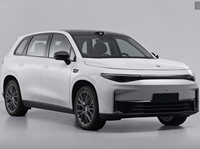 Pièces de châssis de voiture électrique neuves Leapmotor C10/C11/Lafa5 C16/B10, marchepieds et marchepieds latéraux en plastique 2024-