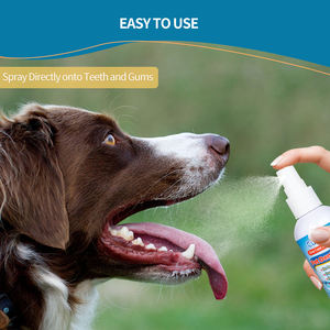 Solución Cutebone Premium para el cuidado dental de mascotas, la mejor manera de eliminar el <span class=keywords><strong>mal</strong></span> <span class=keywords><strong>aliento</strong></span> de <span class=keywords><strong>perro</strong></span> y el <span class=keywords><strong>mal</strong></span> <span class=keywords><strong>aliento</strong></span> de gato, recomendado por el veterinario - Product Image 4