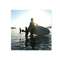 Single Surfboard with Electric Battery, Hydrofoil, Efoil