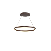 Lampe suspendue LED industrielle moderne, hauteur réglable, AC 165-265V, 12W, blanc chaud, abat-jour en plastique, installation en aluminium