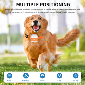 Thông Minh Chống Nước 4G GPS Tracker Định Vị WiFi Điện Tử Hàng Rào Ứng Dụng Điều Khiển Từ Xa Chống Mất Trẻ Em Người Cao Tuổi Theo Dõi Thú Cưng Thiết Bị - Product Image 3