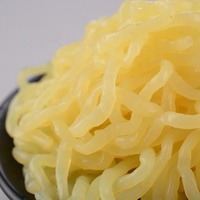 Nouilles de Konjac Faible en Gras, Riches en Protéines, Sans Gluten, Sans Sucre, 200g, Sachet et Boîte