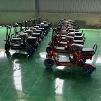 Tricycle électrique pliable portable à 3 places, double propulsion, panier de rangement, excellente capacité de montée, pour parents et enfants, transport de personnes âgées, charge de 200 kg
