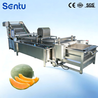 Geïntegreerde groentewas- en belletjesreinigingsmachine voor de behandeling van augurken en gedroogd fruit, met palmolie-aangedreven belletjesreiniging.