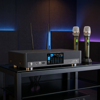Amplificateur de karaoké professionnel XUNGUAN série DK 3-en-1 150/250/350/450W avec 2 microphones sans fil UHF pour salle de karaoké