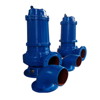 Pompe à eau sale submersible pour eaux usées Pompe à boue pour eaux usées Pompe d'aspiration de boue pour eau sale