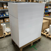 Papier Offset Sans Bois Premium 50-120 g/m² pour l'Impression Intérieure de Catalogues Artistiques Haut de Gamme