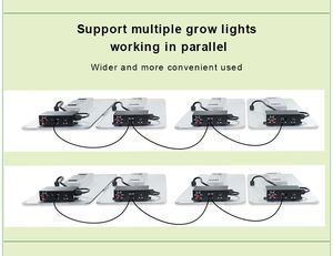 室内生长发光二极管灯大足迹全光谱发光二极管温室和医用植物生长灯 - Product Image 4