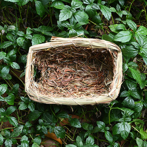 Casa Redonda de Paja Tejida para Mascotas, Nido de Hámster de Hierba, Estilo Rústico para las Cuatro Estaciones - Product Image 4