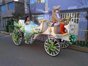 Voiture de tourisme électrique certifiée CE, chariot rétro sans chevaux, véhicule de navettage touristique à basse vitesse pour utilisation commerciale - Product Image 2