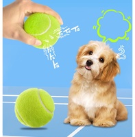 Pack de balles de tennis pour chiens en caoutchouc TPR personnalisées avec logo imprimé, durables, écologiques, 2,5 pouces, jouet interactif pour animaux de compagnie pour la plage