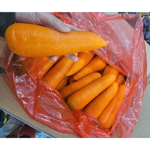 Boisson fraîche biologique aux carottes et aux légumes livraison rapide emballage personnalisé vente en gros agricole vietnamienne - Product Image 3