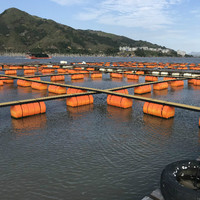 L'aquaculture remplie de mousse flotte des cages de pêche ponton flottant avec barrière flottante de rivière de barrage de marche