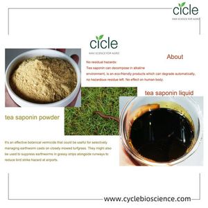 Extrait de graines de <span class=keywords><strong>camélia</strong></span> oleifera en poudre de saponine de thé - Product Image 4